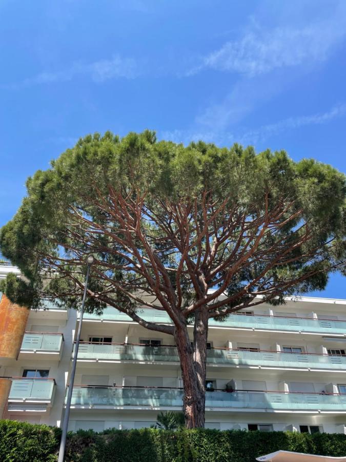 Superbe Studio Lumineux Sur Cannes Avec Terrasse ! A Quelques Minutes De La Celebre Rue D'Antibes ! מראה חיצוני תמונה